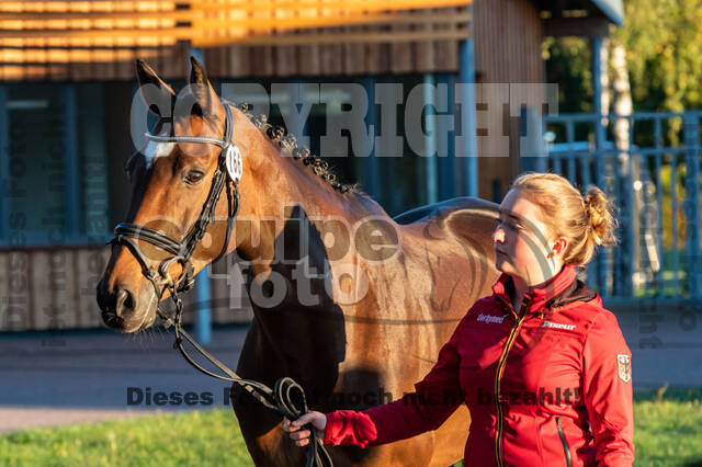 Deutsche Meisterschaft Vielseitigkeit (Luhmühlen)