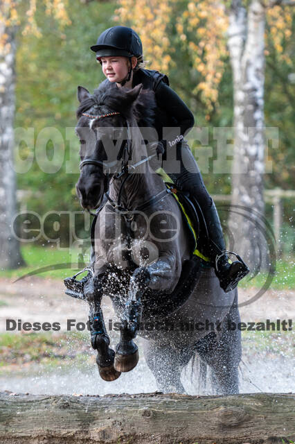 IGV Lehrgang der Sieger der Cups mit Frank Ostholt