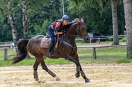 Hunter Geländetraining 10.07.2021 (Sonsbeck)