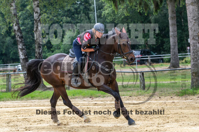 Hunter Geländetraining 10.07.2021 (Sonsbeck)
