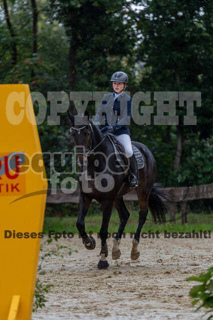 Vielseitigkeit RSV Wesel Obrighoven (26.+27.09.2020)