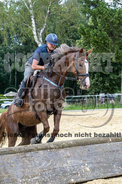 Hunter Geländetraining 10.07.2021 (Sonsbeck)