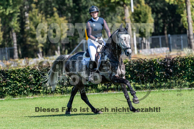 Kronenberg - De Peelbergen (August 2020)