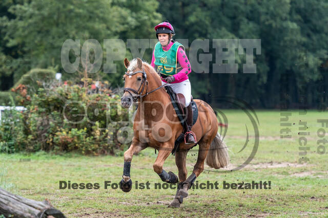 Vielseitigkeit RSV Wesel Obrighoven (26.+27.09.2020)