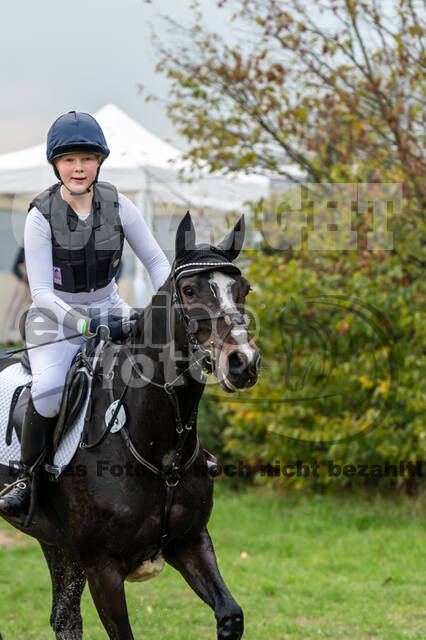 Goldene Schärpe 2020 - Pferde