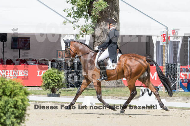 FEI European Championship Eventing 2017