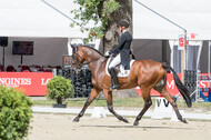 FEI European Championship Eventing 2017