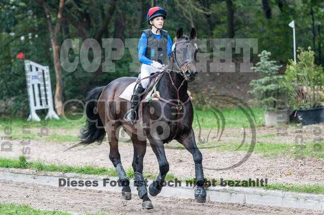 Goldene Schärpe 2020 - Pferde