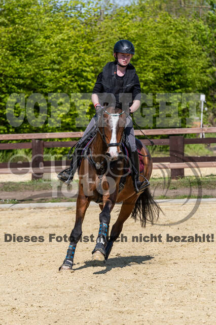Geländetraining ZRFV Hamminkeln (09.05.2021)