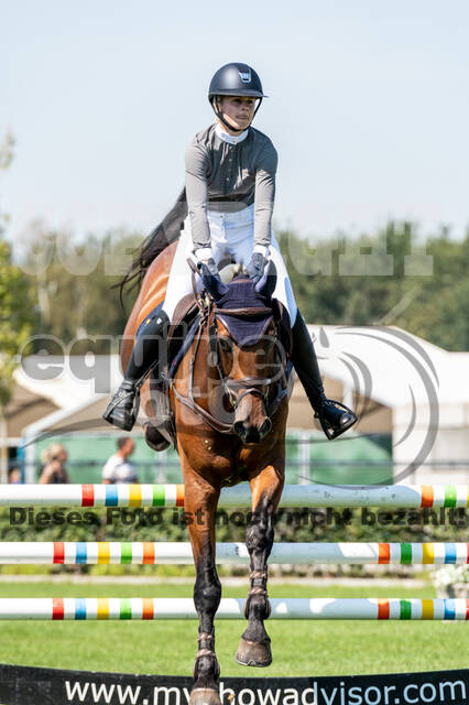 Kronenberg - De Peelbergen (August 2020)