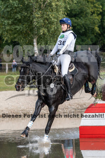 Deutsche Meisterschaft Vielseitigkeit (Luhmühlen)