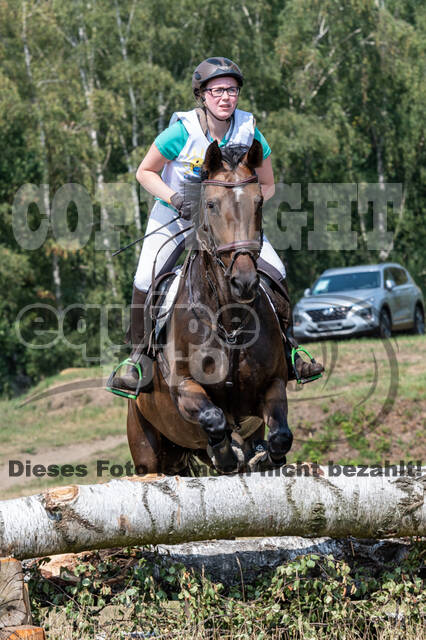 Late-Entry Vielseitigkeit Hamminkeln/Wesel (01.+02.08.2020)