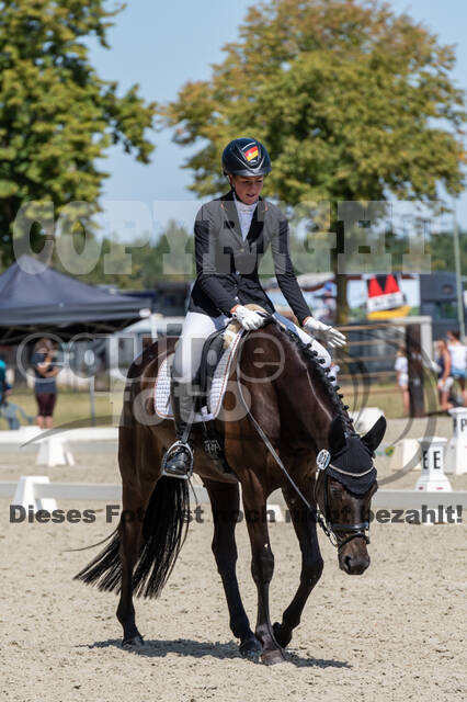 Kronenberg - De Peelbergen (August 2020)