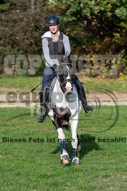 IGV Lehrgang der Sieger der Cups mit Frank Ostholt