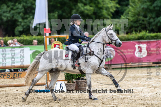 Goldene Schärpe 2021 - Ponys
