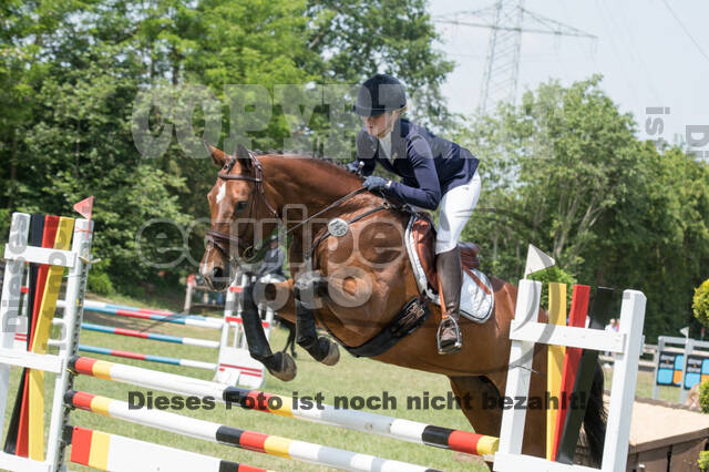 Vielseitigkeitsturnier ZRuFV von Lützow Hamminkeln