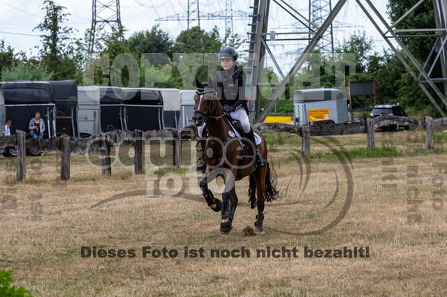 Late-Entry Vielseitigkeit Hamminkeln/Wesel (01.+02.08.2020)