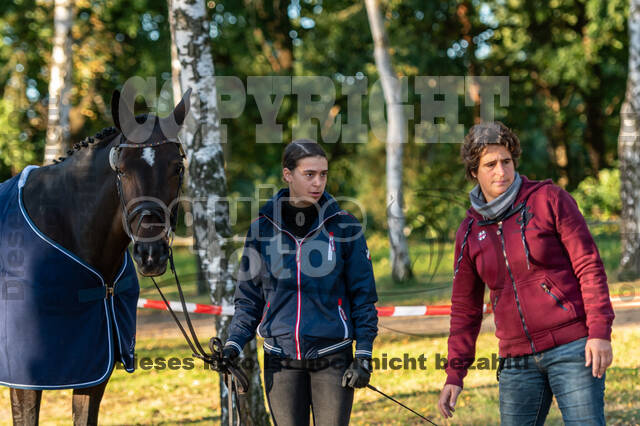 Deutsche Meisterschaft Vielseitigkeit (Luhmühlen)