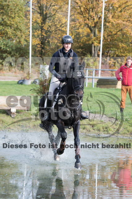 IGV Lehrgang der Sieger der Cups mit Frank Ostholt
