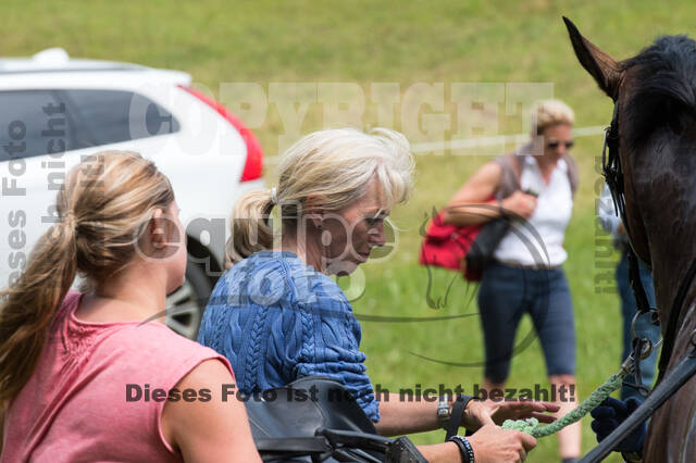 DJM Vielseitigkeit 2019, Kreuth