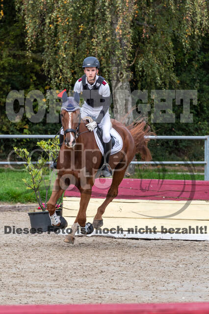 Goldene Schärpe 2020 - Pferde