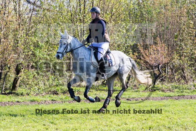 Vielseitigkeitsturnier RV Lippe-Bruch-Gahlen