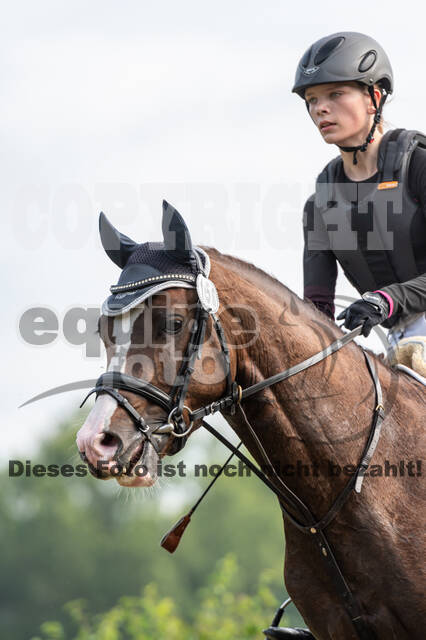 Goldene Schärpe 2021 - Ponys