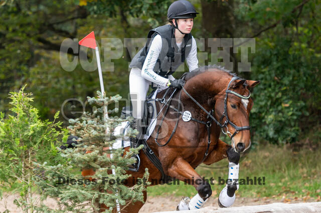 Goldene Schärpe 2020 - Pferde