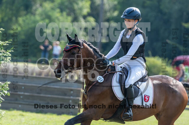 Goldene Schärpe 2021 - Ponys