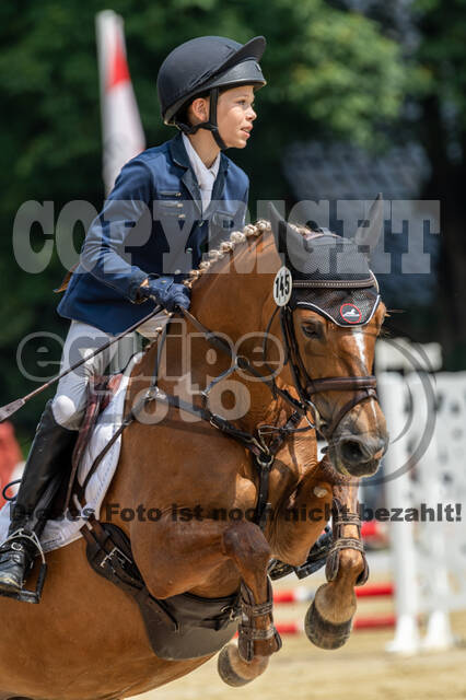 Goldene Schärpe 2021 - Ponys