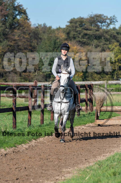 Vielseitigkeitslehrgang mit Jürg Kurbel (9.+10.11.2019)