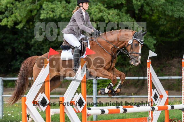 Late-Entry-Vielseitigkeit Langenfeld (06.+07.07.2020)