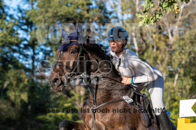 RFV Dinslaken-Hiesfeld (Herbstturnier)