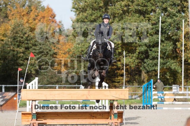 IGV Lehrgang der Sieger der Cups mit Frank Ostholt
