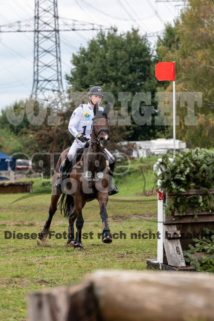 Vielseitigkeit RSV Wesel Obrighoven (26.+27.09.2020)