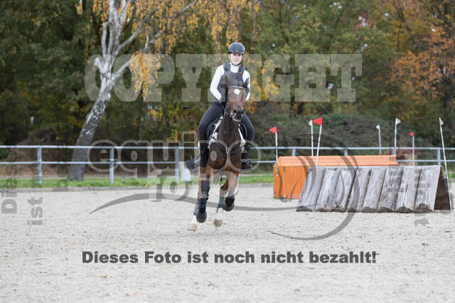 IGV Lehrgang der Sieger der Cups mit Frank Ostholt