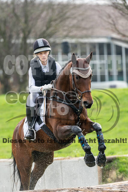 Goldene Schärpe 2020 - Pferde