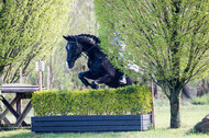 Vielseitigkeitsturnier RV Lippe-Bruch-Gahlen