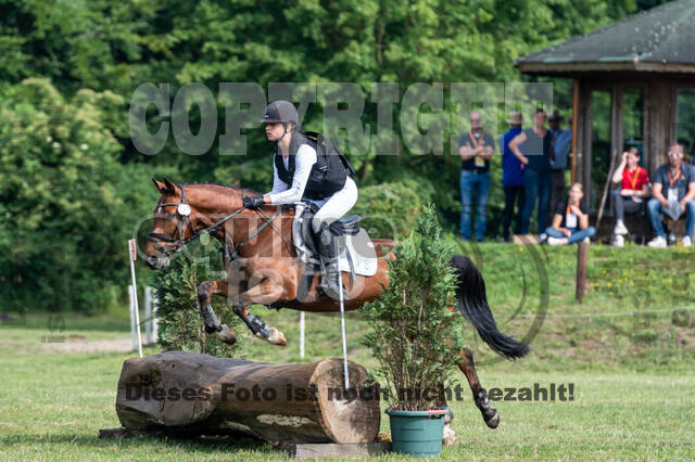 Goldene Schärpe 2021 - Ponys