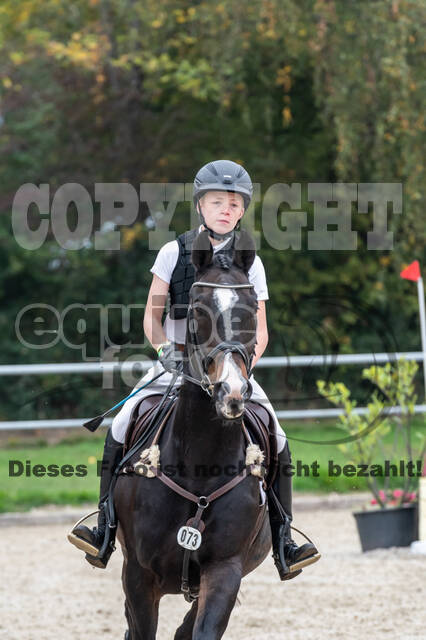 Goldene Schärpe 2020 - Pferde