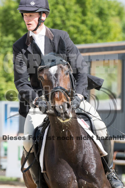 Sterne über Münster 2019 - CCI***S