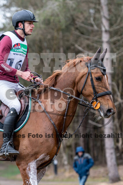 Kronenberg - De Peelbergen (02.04.2022)
