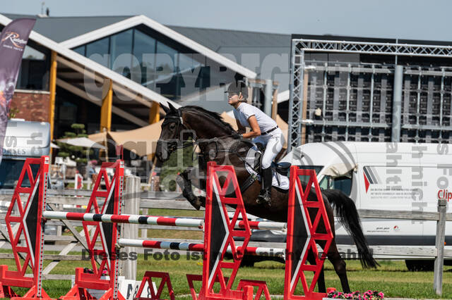 Kronenberg - De Peelbergen (August 2020)