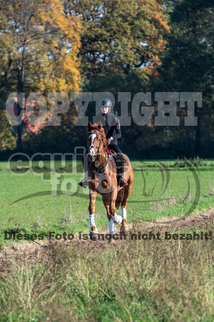 Vielseitigkeitslehrgang mit Jürg Kurbel (9.+10.11.2019)