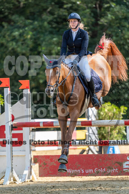 RFV Dinslaken-Hiesfeld (Herbstturnier)
