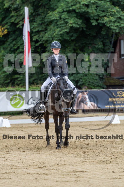 Goldene Schärpe 2021 - Ponys