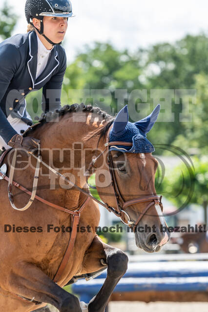 Late-Entry-Vielseitigkeit Langenfeld (06.+07.07.2020)