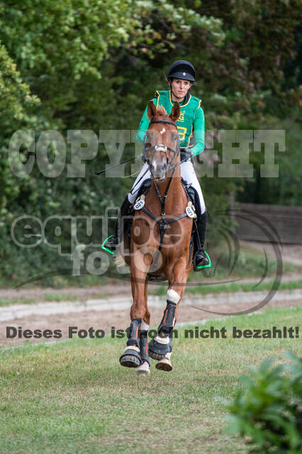 Landesturnier Rheinland, Vielseitigkeit, 22.+23.08.2020