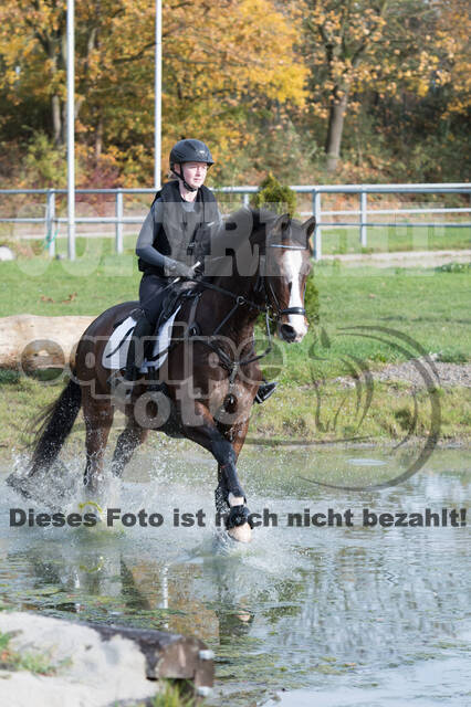 IGV Lehrgang der Sieger der Cups mit Frank Ostholt