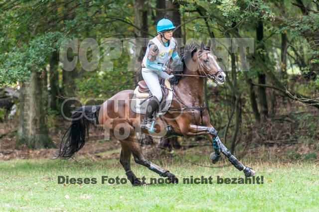 Vielseitigkeit RSV Wesel Obrighoven (26.+27.09.2020)